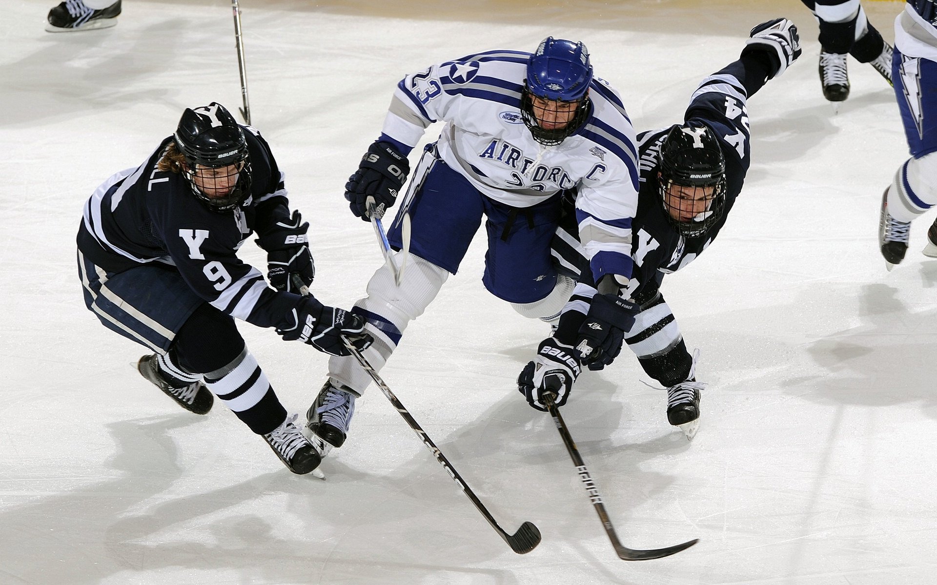 开云体育在线入口-裁判员培训提升专业执法水平，裁判员培训提升专业执法水平的措施  第2张